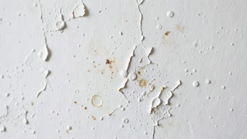 czym gruntować tynki gipsowe przed malowaniem