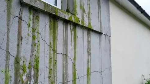 mycie i malowanie elewacji cennik